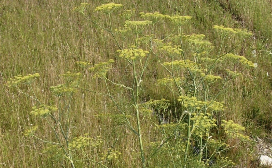 Bildschirmfoto 2026-03-01 um 08.57.21