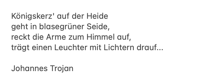 Bildschirmfoto 2026-06-29 um 15.02.19