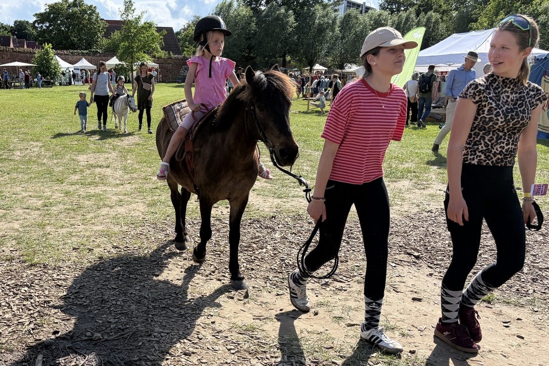Ponyreiter für die Kids