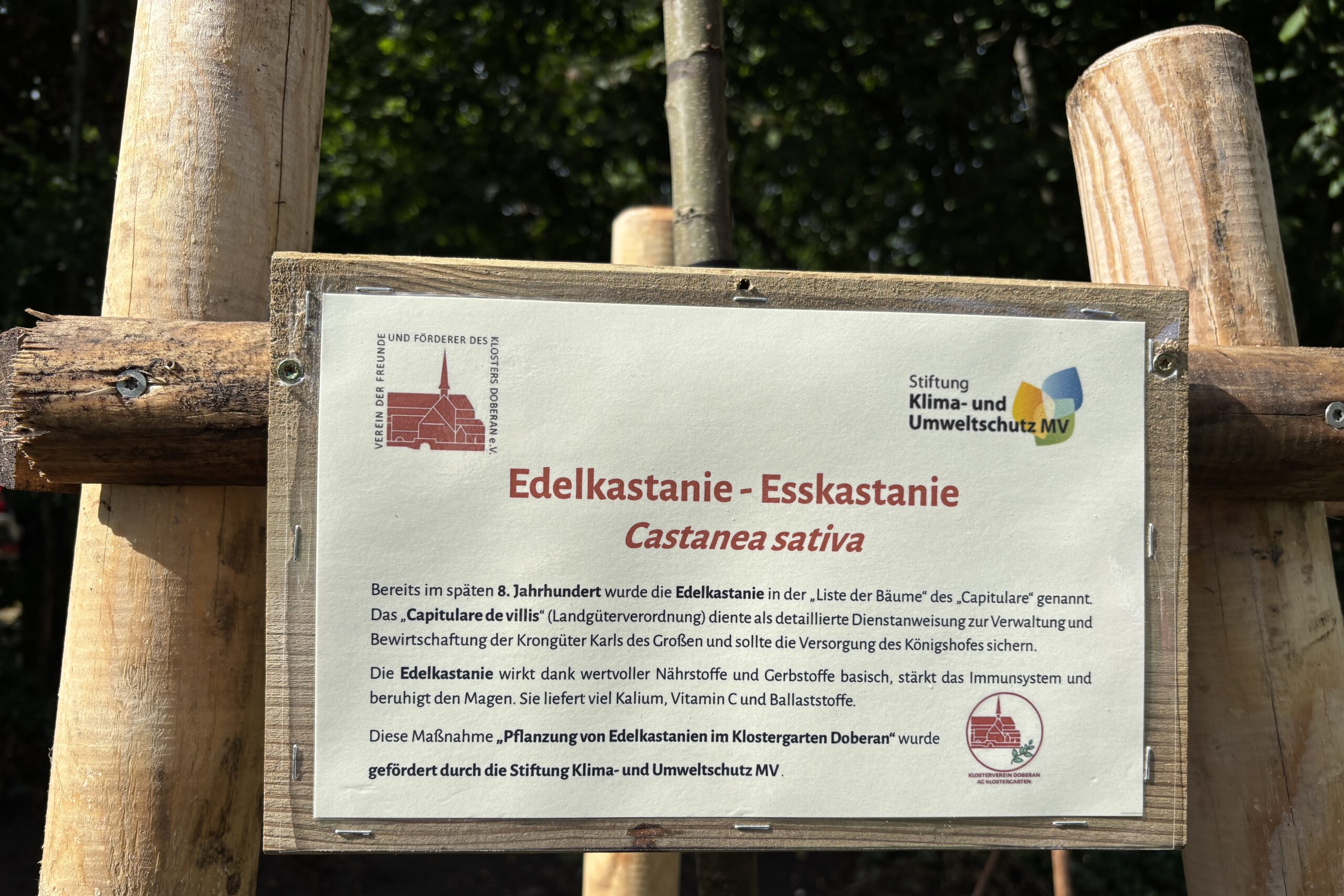 Edelkastanie Schild